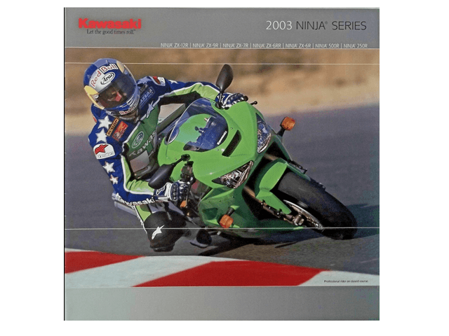Kawasaki Ninja Series 2003 Motorcycle Brochure